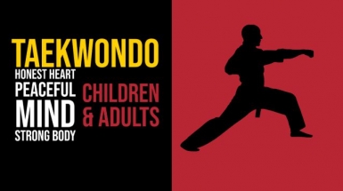 Taekwondo Programs